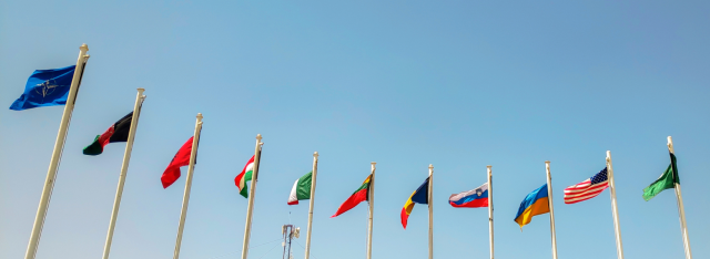 NATO flags fly in Brussels