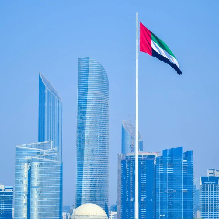 UAE Flag