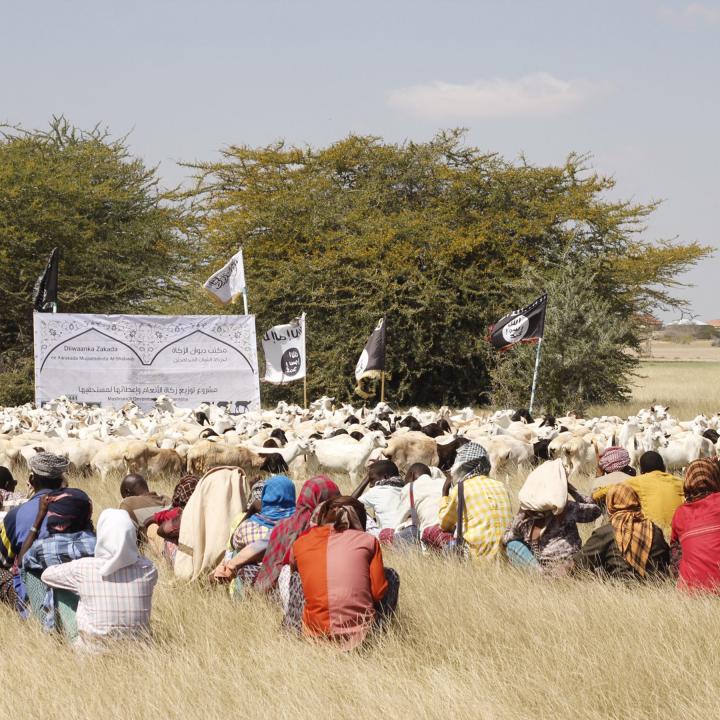 Al-Shabab gives goats as zakat (alms) in Somalia.