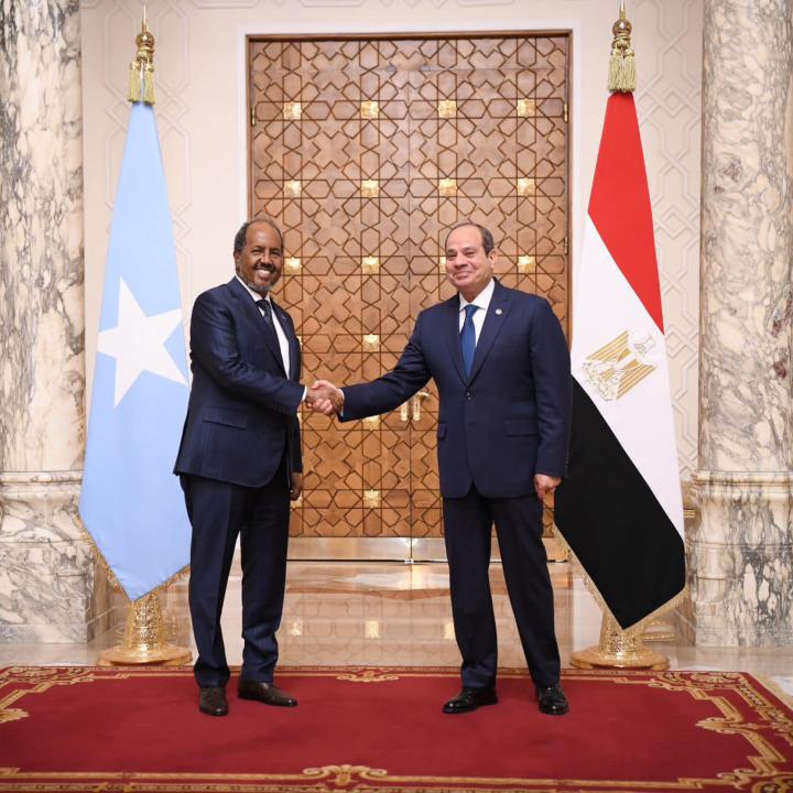 Somali president Hassan Sheikh Mohamud shakes hands with Egyptian president Abden Fattah el-Sisi in Cairo in August 2024 - source: Reuters