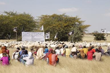 Al-Shabab gives goats as zakat (alms) in Somalia.